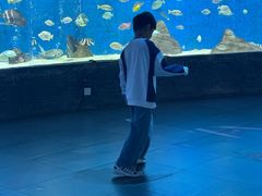 -合肥海洋世界