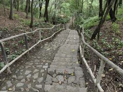 -香炉山国家森林公园