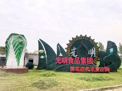 门面-上海都市菜园