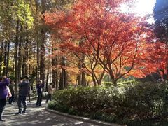 -中山公园