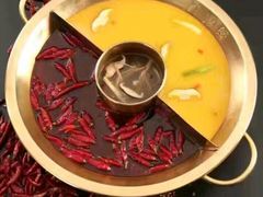 -九鼎轩脆毛肚火锅(商业街店)