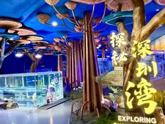 -欢乐海岸海洋奇梦馆