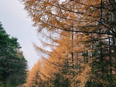-秦岭风景区