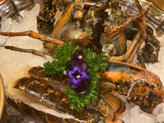 -蓝钻·国际美食海鲜自助百汇(西直门店)