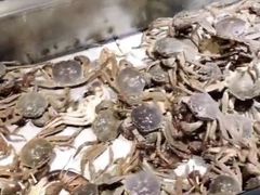 -欢乐牧场海鲜烤肉自助(牡丹园店)