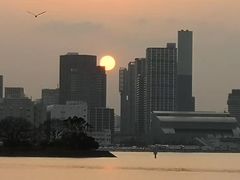 -台场海滨公园船码头