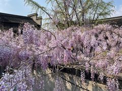 -老门东历史文化街区