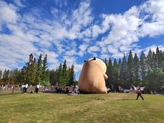 -黄海国家森林公园