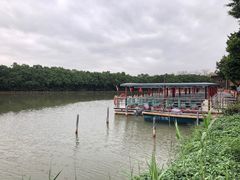 -大湾区中央湿地公园