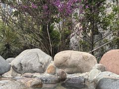 -地中海传奇水汇