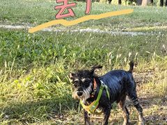 -东坝千亩湖公园