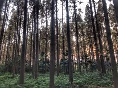 -上海怡沁园度假酒店