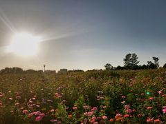 -长春世界雕塑园冰雪艺术天地