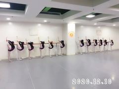 -西安小天鹅艺术团(金花路校区)