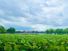 -长春市南湖公园