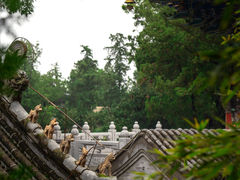 -八大处公园