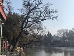 -莲池书院博物馆