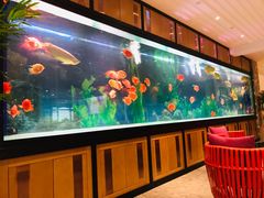 -弘安丽水温泉酒店