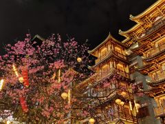 -大佛寺高级素食自助餐厅