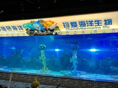 -成都浩海立方海洋公园