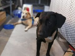 -尽峰攀岩 Acme Climbing