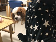 -瞳學會lens mart(南开大悦城店)