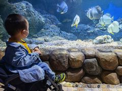 -华夏文旅海洋公园