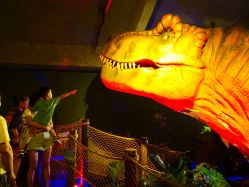 点击看大图 -恐龙探索乐园(磁器口店)