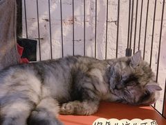 -元氏钵仔糕(北京路店)
