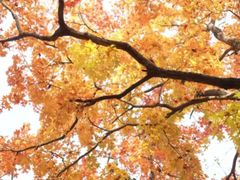 -回龙观体育文化公园