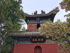 -洛阳白马寺