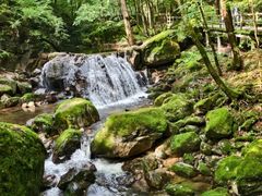 -牛背梁国家森林公园