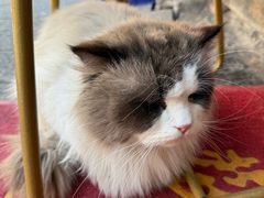 -嵊州特色小吃(萧山街店)