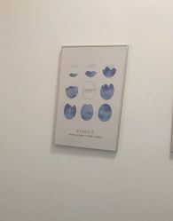 -agge蛋白医美