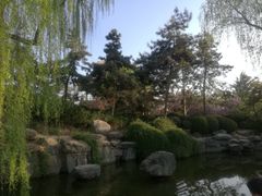 -西安青龙寺遗址景区
