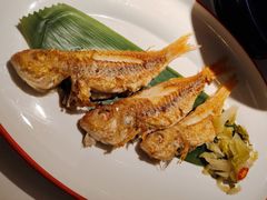 -码头见·潮汕菜(领展中心城店)