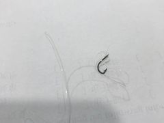 -辛巴宠物医疗中心·骨科·内分泌专科·心肾专科(亭林公园店)