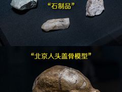 -良渚博物院