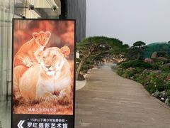 -罗红摄影艺术馆