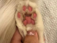 -comecome来吧宠物(奥克斯中心店)