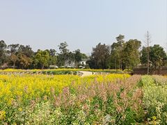 -三圣花乡旅游区