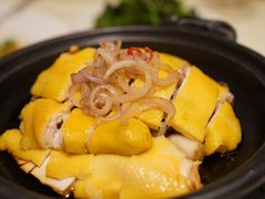 -利苑酒家(合景国际金融广场店)