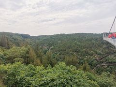 -皇藏峪国家森林公园