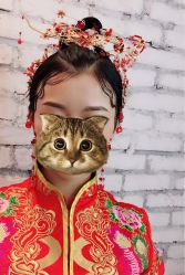 -乐玛婚纱摄影(解放北路店)