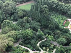 -上海新发展亚太JW万豪酒店
