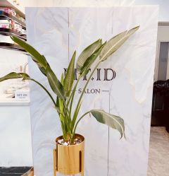 点击看大图 -MT·ID 烫发.染发.接发SALON
