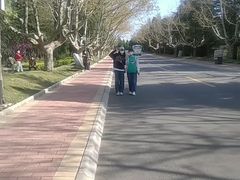 -龙口南山旅游景区