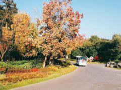 -南京银杏湖乐园