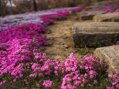 -南通洲际绿博园