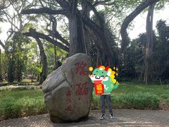 -瑞丽独树成林风景区